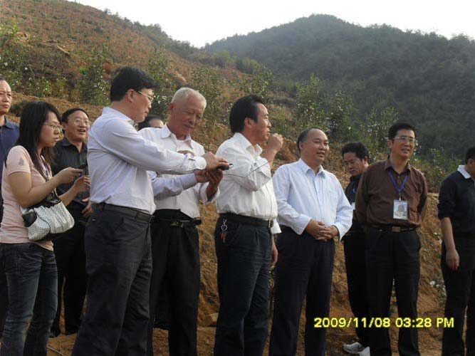 油茶會(huì )參會(huì )現場(chǎng)
