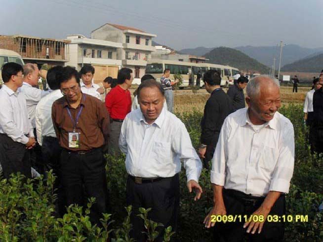 油茶會(huì )參會(huì )現場(chǎng)